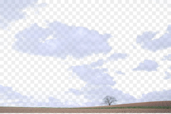 Sky Blue Cloud - White clouds sky Sky Blue Cloud - White clouds sky