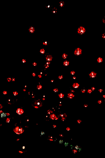 Sky Lanterns Sky Lanterns