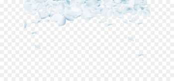 Sky Pattern - White floral background Sky Pattern - White floral background