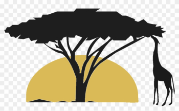 Sky Theme Safaris - Nature Sky Theme Safaris - Nature
