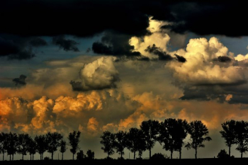 Sky, Tree, Nature, Blue, Landscape, Europe, Sunset Sky, Tree, Nature, Blue, Landscape, Europe, Sunset