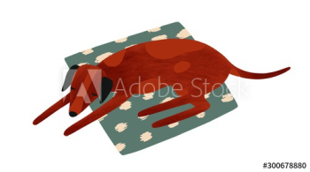 Sleeping dog flat vector illustration Sleeping dog flat vector illustration