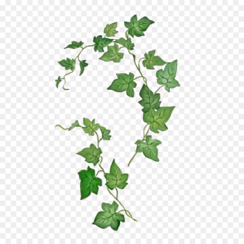 Sleeve tattoo Common ivy Drawing Abziehtattoo - leafpng stamp 
