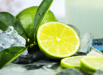 Slice of Lime Slice of Lime
