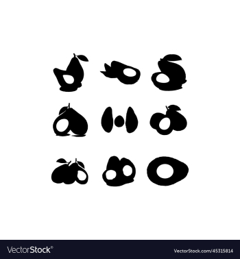 sliced avocado fruit design sliced avocado fruit design