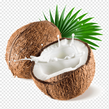 sliced coconut fruit, Coconut milk powder Coconut water, Fresh coconut, food, recipe, tropical Fruit png