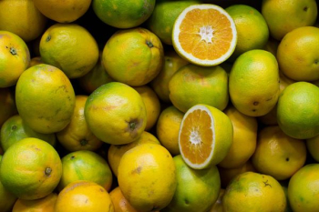 sliced green lemons sliced green lemons