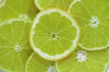 Sliced Lemons Sliced Lemons