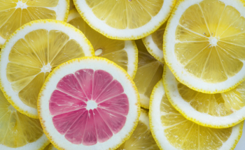 Sliced of Citrus Lemons Sliced of Citrus Lemons
