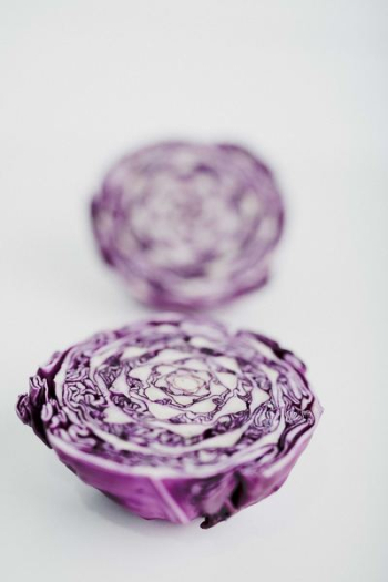 sliced onion sliced onion