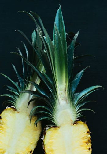 Sliced Pineapple Fruit Sliced Pineapple Fruit