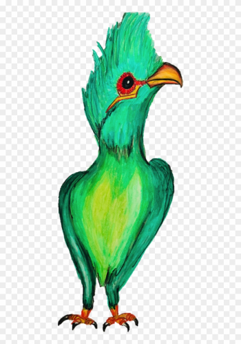 Slimming Green Organic Tea Bird Tea - Organic Food Slimming Green Organic Tea Bird Tea - Organic Food
