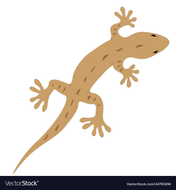 small cute brown climbing gecko small cute brown climbing gecko