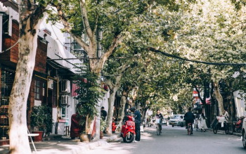 Small Leafy Street With Cyclists Small Leafy Street With Cyclists