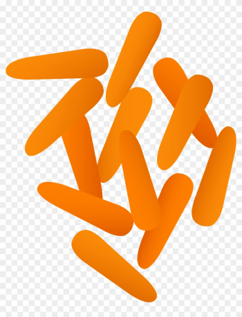 Small Orange Baby Carrots - Baby Carrots Clip Art Small Orange Baby Carrots - Baby Carrots Clip Art