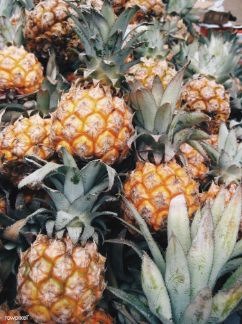 Small pineapples | Free stock photo - 434728