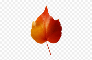 Small Red Yellow Leaf Clipart - Small Leaves