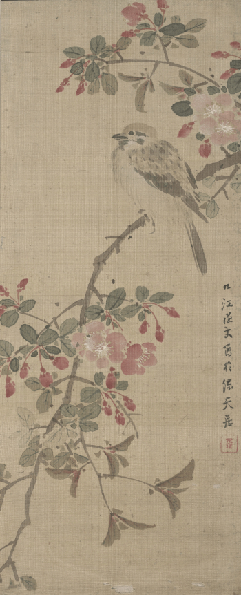 small songbird perched on blossoming | Free Photo - rawpixel small songbird perched on blossoming | Free Photo - rawpixel