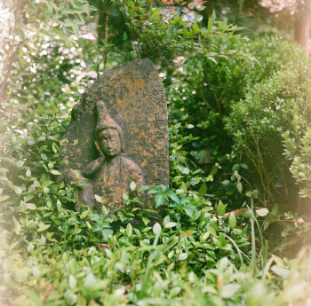 Small statue in a Japanese garden. Shot on medium format film with a vintage Rolleiflex.