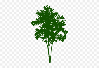 Small Tree Symbol - Small Tree Png Small Tree Symbol - Small Tree Png