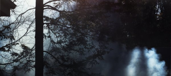 Smoke Filled Forest Smoke Filled Forest