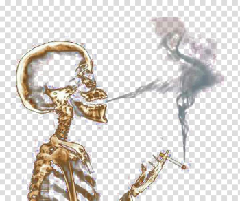 Smoking day smoking people skull transparent background PNG clipart Smoking day smoking people skull transparent background PNG clipart