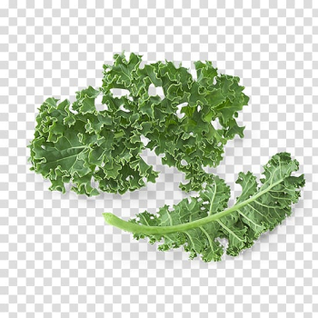 Smoothie Juice Kale Leaf vegetable Food, kale transparent background PNG clipart Smoothie Juice Kale Leaf vegetable Food, kale transparent background PNG clipart