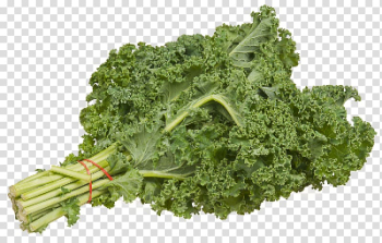 Smoothie Lacinato kale Leaf vegetable Green, vegetable transparent background PNG clipart