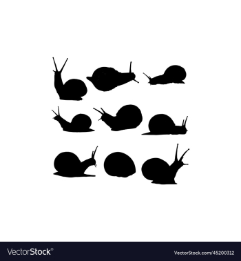 snail animal spiral silhouette design snail animal spiral silhouette design