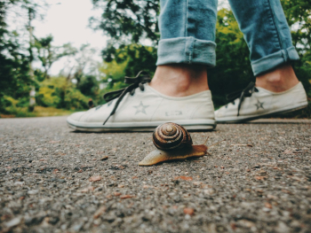 Snail Near Feet Snail Near Feet
