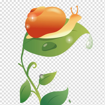 , Snail on the leaves transparent background PNG clipart , Snail on the leaves transparent background PNG clipart