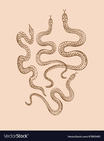 snakes animal hand drawn