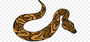 Snakes Clip art Portable Network Graphics Image Green anaconda - constrictor vector 
