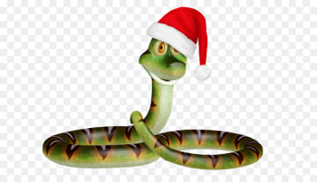 Snakes Reptile Grass snake Christmas Day New Year - bluet background 