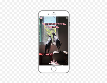 Snapchat Live Commerce Blog Boomerang - others Snapchat Live Commerce Blog Boomerang - others