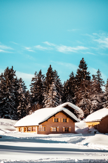 Snow-capped Houses