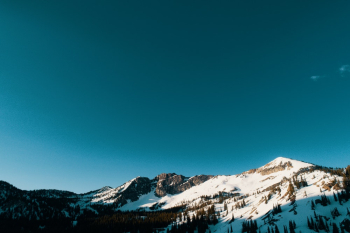 Snow Capped Mountains and Trees Snow Capped Mountains and Trees