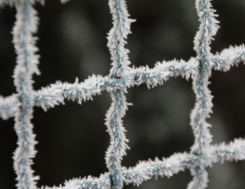 Snow Covered Fence