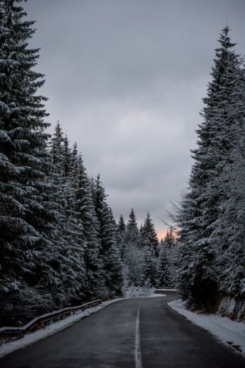 snow covered forest and road snow covered forest and road