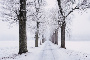 Snow covered road Snow covered road