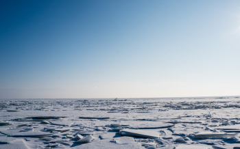 Snow Field
