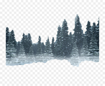 Snow Forest Winter - forest Snow Forest Winter - forest