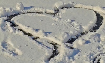 Snow Heart