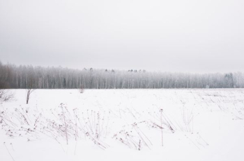 snow land with trees at distance snow land with trees at distance