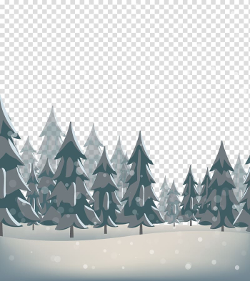 Snow Pine, forest transparent background PNG clipart Snow Pine, forest transparent background PNG clipart