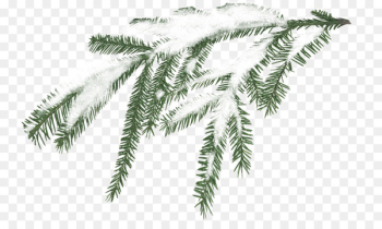 Snow Tree Branch Pine - White snow sticks Snow Tree Branch Pine - White snow sticks