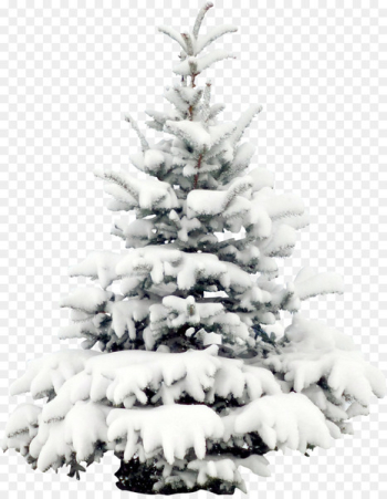 Snow Tree Pine Christmas Wallpaper - Snow pine Snow Tree Pine Christmas Wallpaper - Snow pine