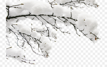 Snow Winter Fundal - Snow branches Snow Winter Fundal - Snow branches