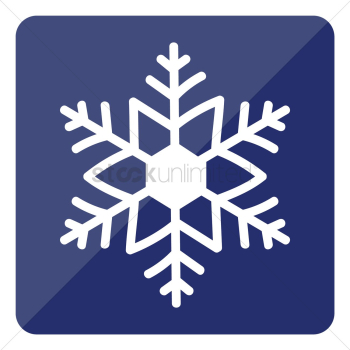 Snowflake Snowflake