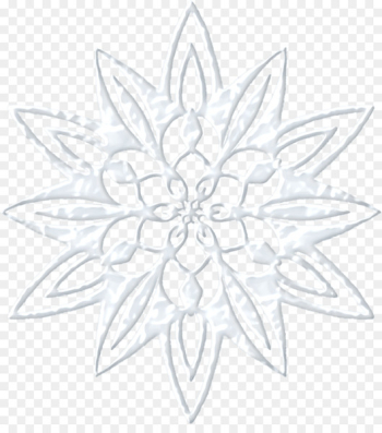Snowflake Transparency and translucency - Transparent snowflake 
